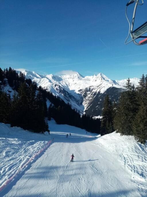L'Appartement Les Bossons En Lisiere De Foret Dans Le Chalet Genepi Arêches Екстериор снимка